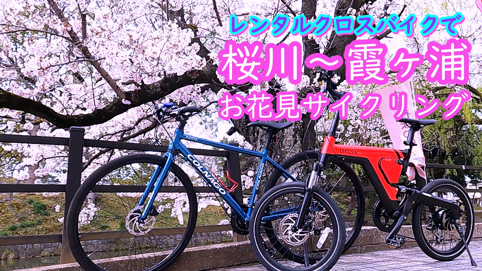 【自転車】レンタルサイクルで楽しむ土浦・桜川～霞ヶ浦りんりんロード