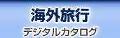 �C�O���s �f�W�^���J�^���O