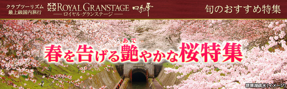 【関東発】四季の華 バスツアーで行く桜ツアー・旅行2024