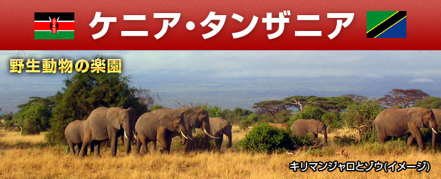 【中部発】ケニア・タンザニア旅行・ツアー