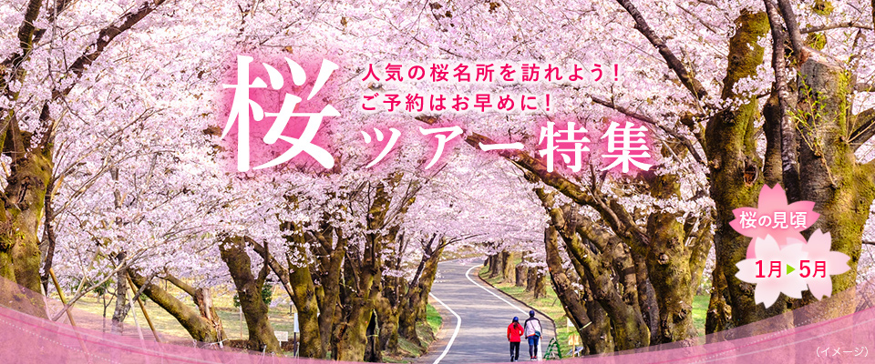 【中部・東海発】列車・飛行機で行く桜・お花見ツアー・旅行2024