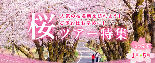 【群馬・栃木発】桜・お花見ツアー・旅行2024