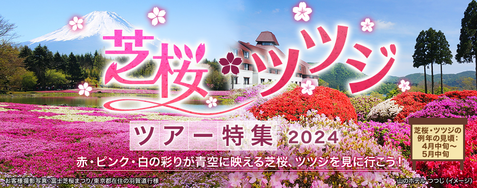 【神奈川（町田市含む）発】芝桜・ツツジツアー・旅行2024