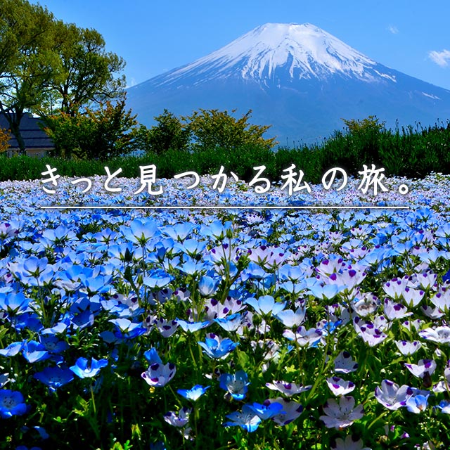 クラブツーリズム 海外旅行 国内旅行 バスツアー 旅の友 関西発