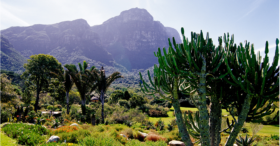 カーステンボッシュ植物園（イメージ）