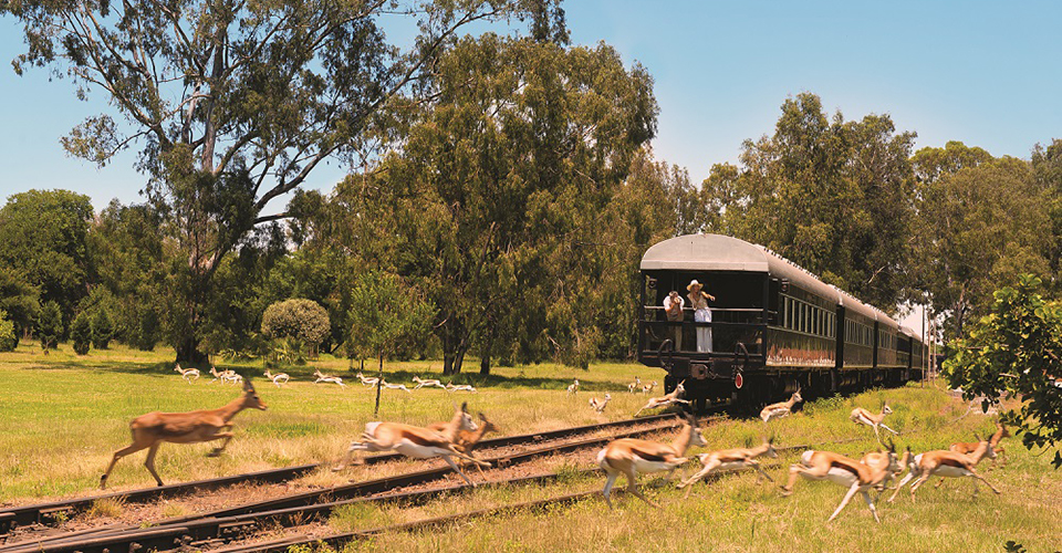 南アフリカの大地を走る豪華列車ロボスレイル（イメージ）