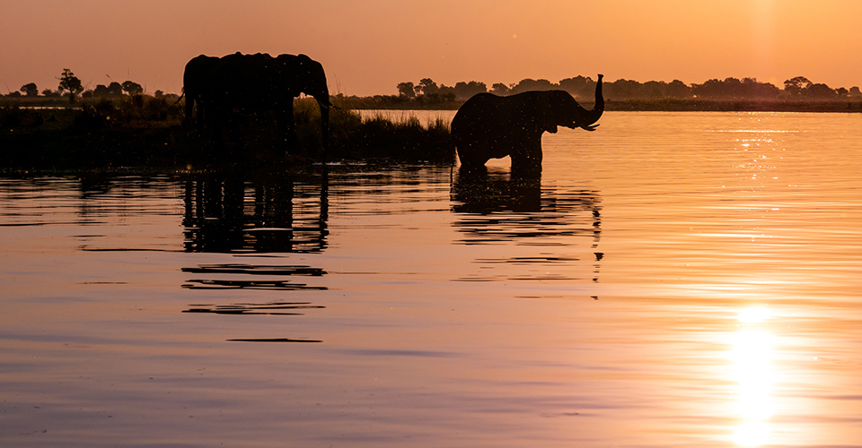 チョベ国立公園（イメージ）