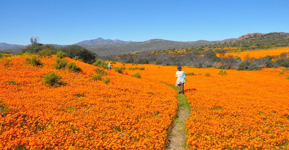 ナマクワランド（イメージ）