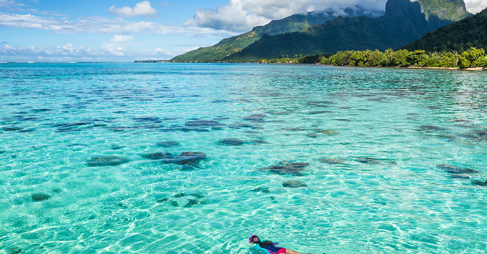 透明な海でシュノーケリング（イメージ）