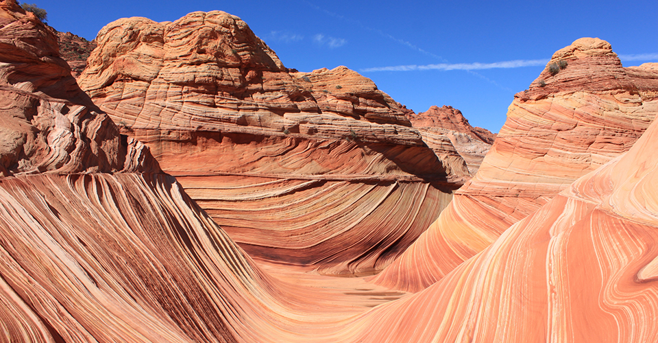 ザ・ウェーブ（イメージ）