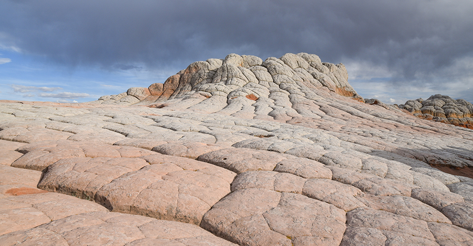 ホワイトポケット（イメージ）