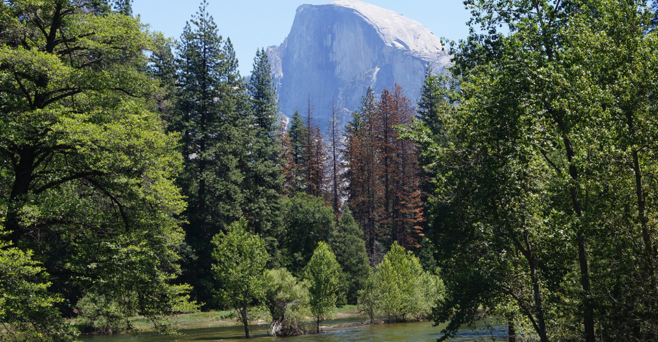 ヨセミテ国立公園（イメージ）