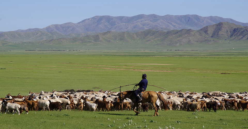 モンゴル（イメージ）