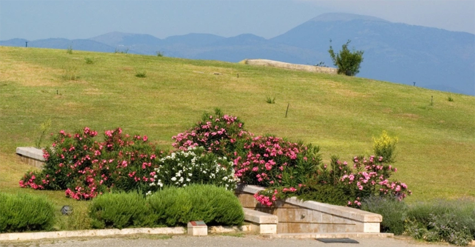 ヴェルギナ遺跡（イメージ）　©ギリシャ国立観光協会