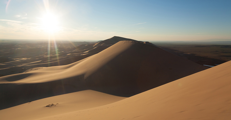 ホンゴル砂丘（イメージ）