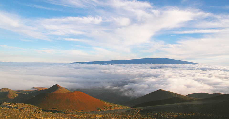 オニヅカビジターセンター（イメージ）