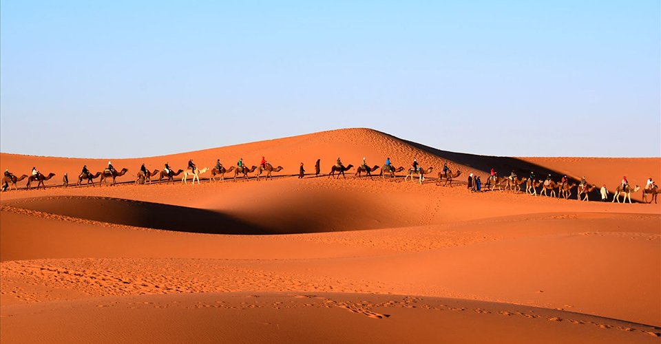 メルズーガ・ラクダの隊列（イメージ）　※お客様撮影写真：静岡県在住・川合みねよさんの作品