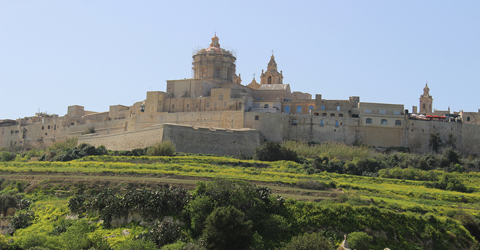 イムディーナ（イメージ）