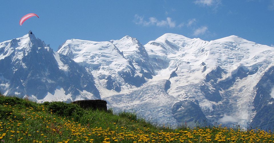 モンブラン山群と花々（イメージ）