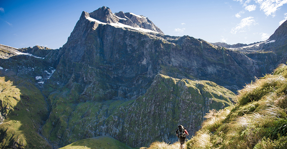 ミルフォードトラック（イメージ）