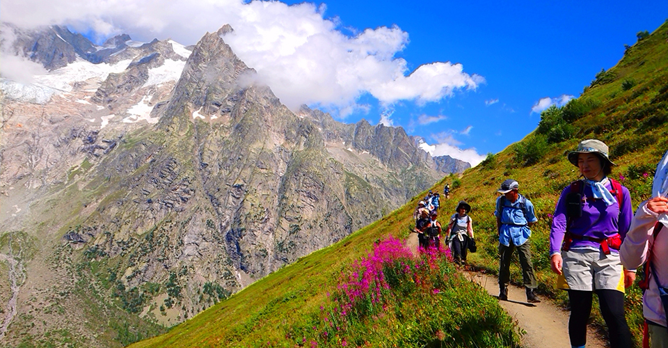 モンブラン山群の迫力の山々と咲き誇る高山植物（イメージ）
