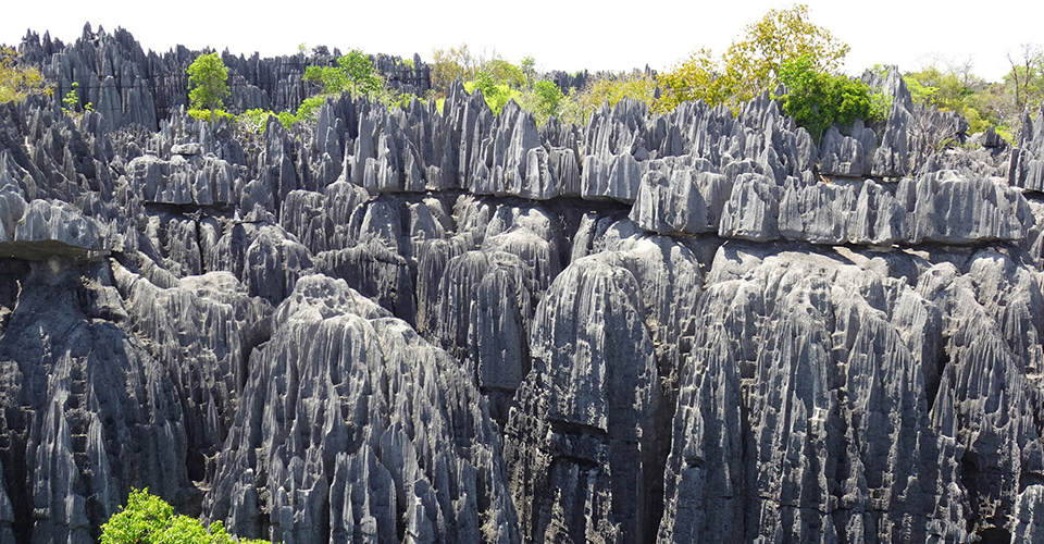 大ツィンギー（イメージ）