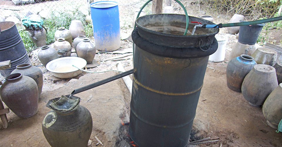 サンハイ村／ルアンプラバン近郊（イメージ）