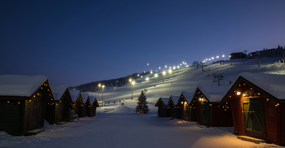 レヴィ（イメージ）