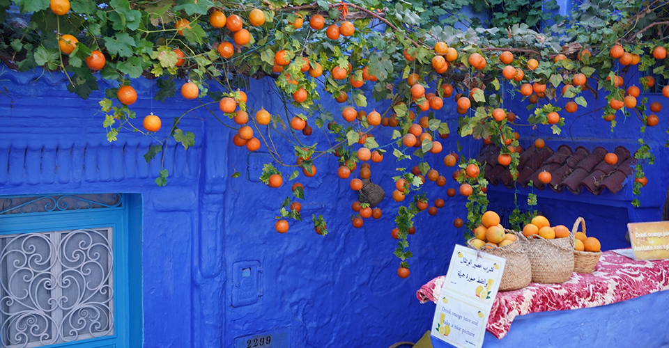 シャウエン（イメージ）