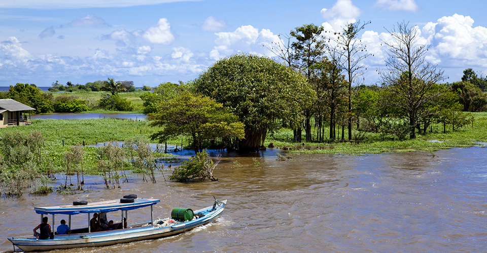アマゾン河ボートクルーズ（イメージ）
