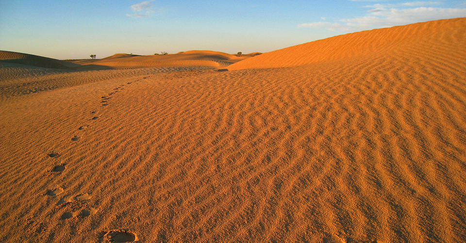 ドゥーズ（イメージ）