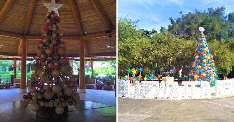 ブルーウォーター（現地手配会社エスプランナー提供）