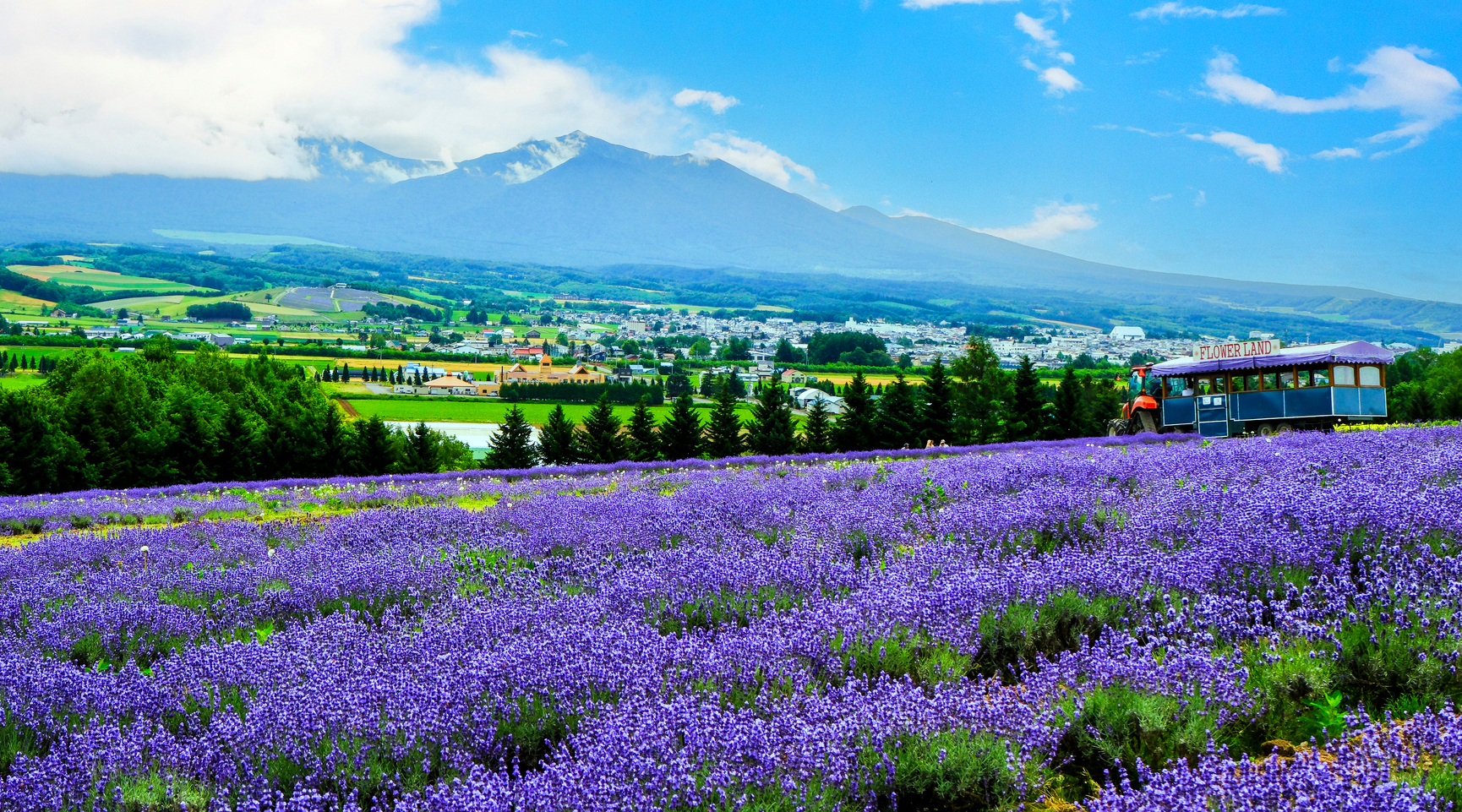 フラワーランドかみふらの（写真は夏のイメージ）