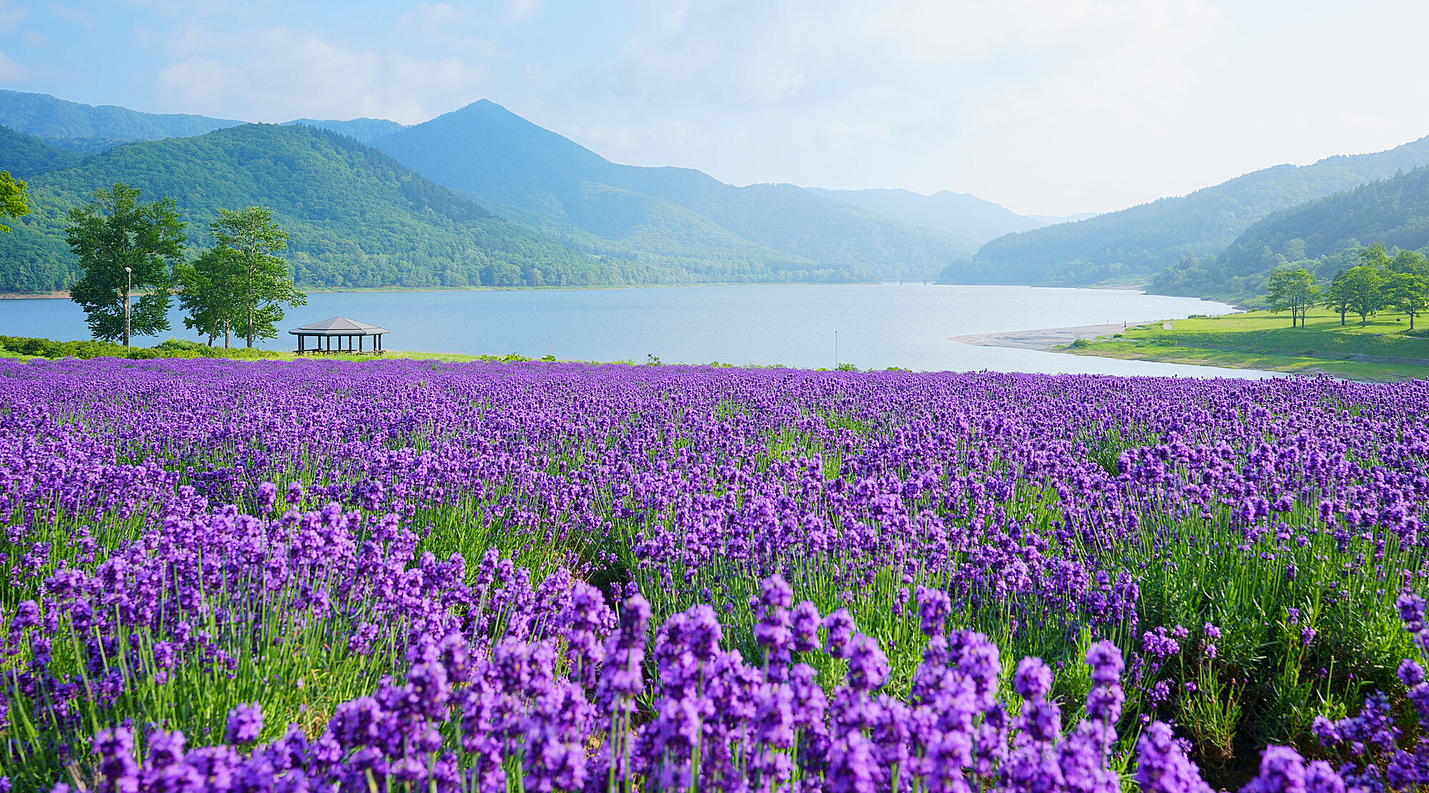 かなやま湖（写真は夏のイメージ）