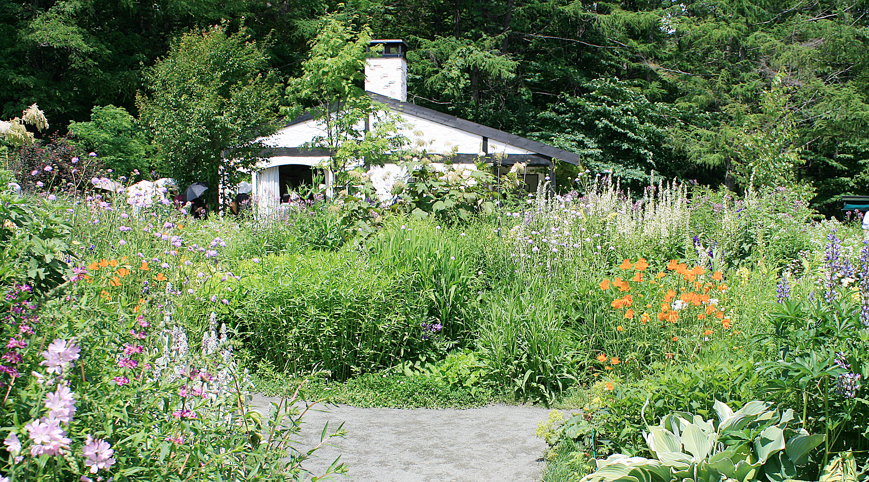 風のガーデン（写真は夏のイメージ）
