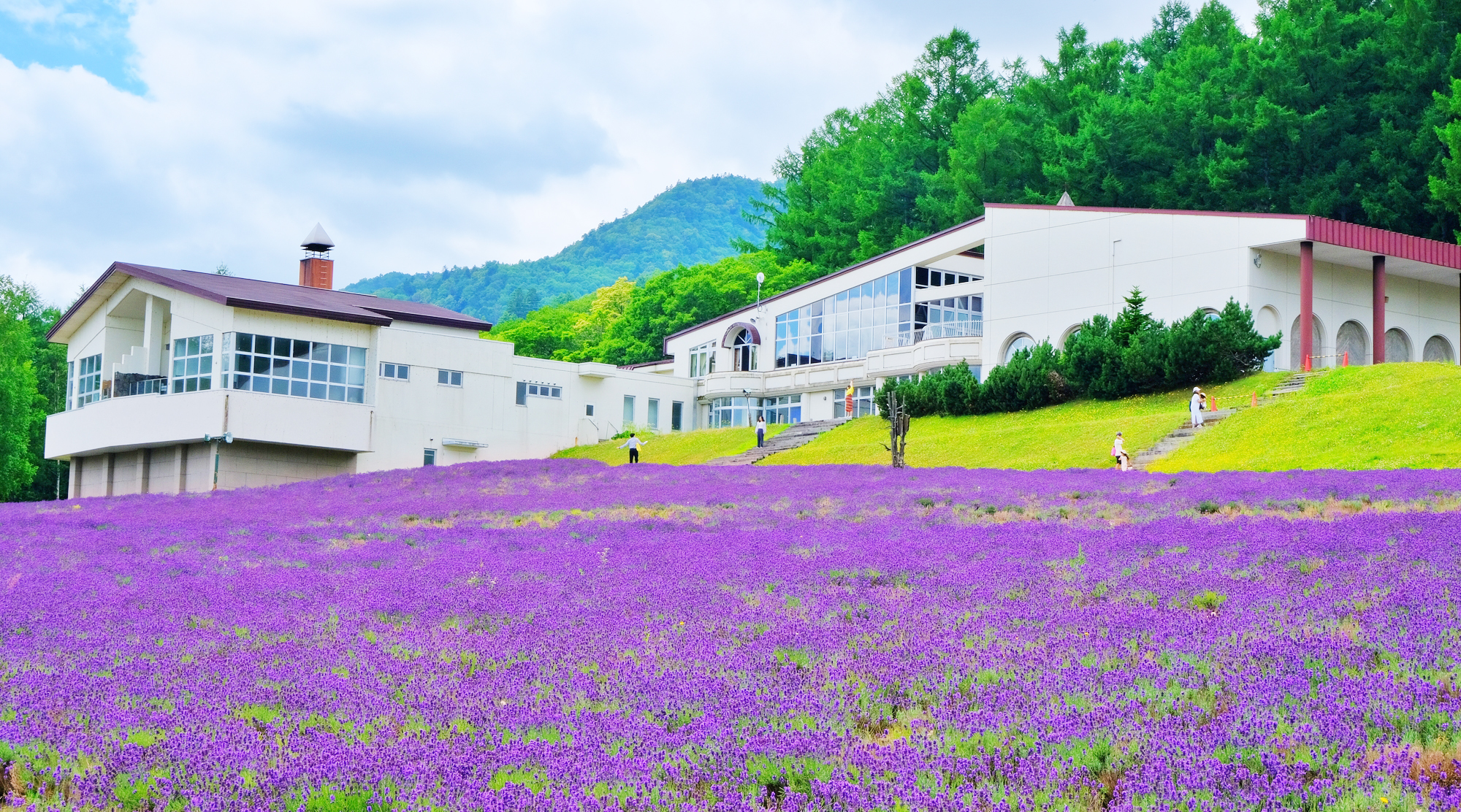 ハイランドふらの（写真は夏のイメージ）