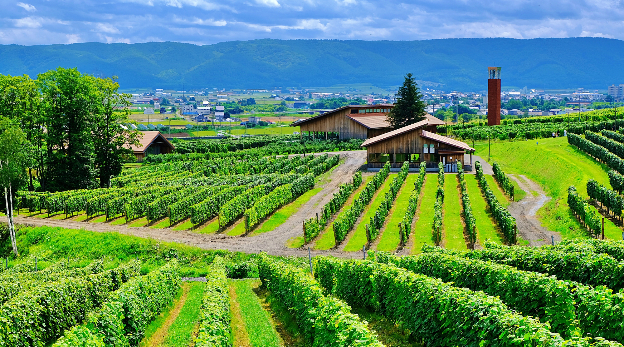 カンパーナ六花亭（写真は夏のイメージ）