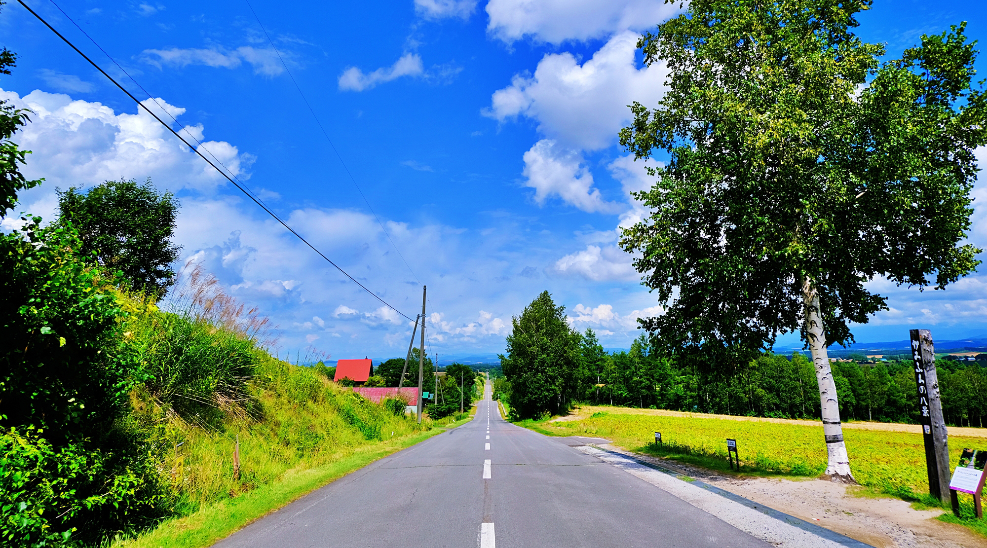 花人街道のジェットコースターの路（写真は夏のイメージ）