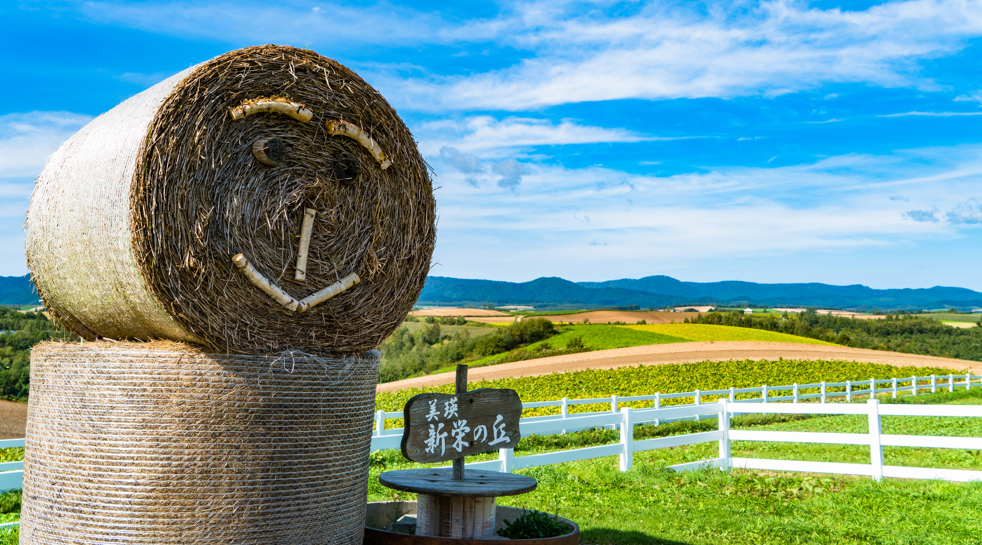 新栄の丘展望公園（イメージ）