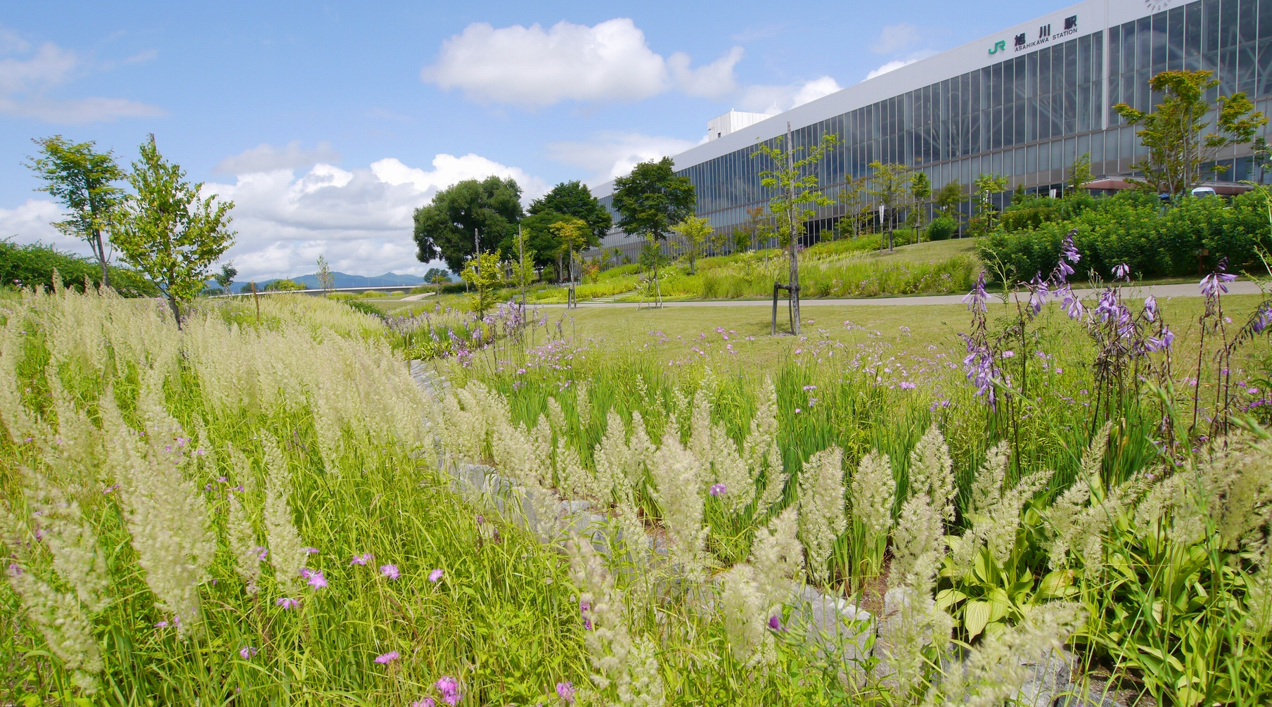 あさひかわ北彩都ガーデン（イメージ）