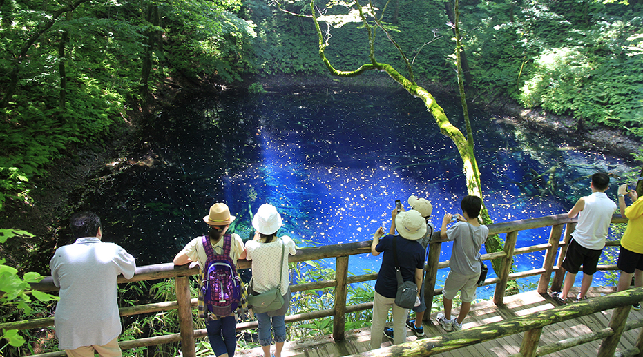 白神十二湖の青池（イメージ）