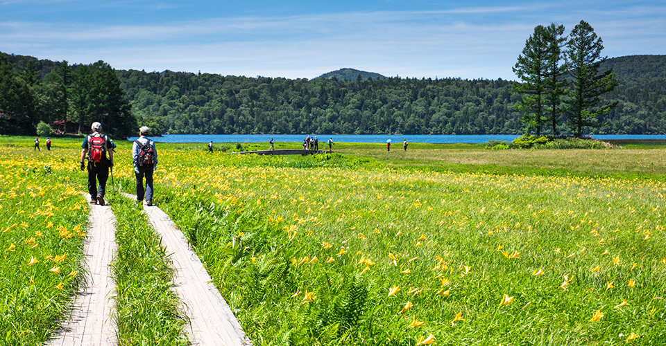 尾瀬の大江湿原（イメージ）