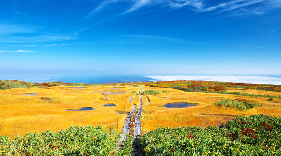 月山・弥陀ヶ原湿原（イメージ）