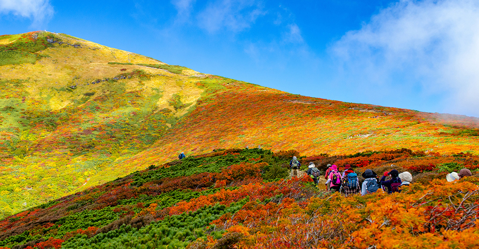 栗駒山（イメージ）