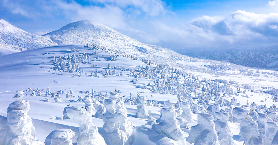 八甲田山の樹氷（イメージ）