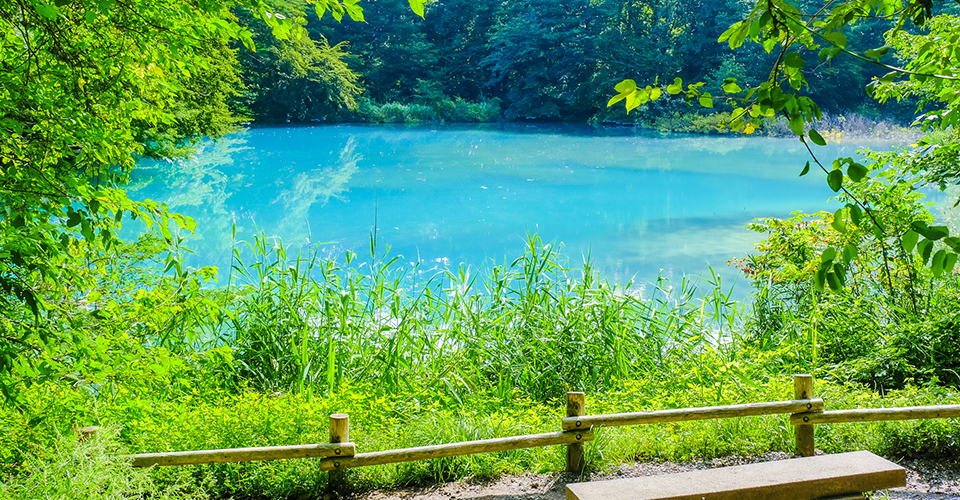 五色沼の青沼（イメージ）