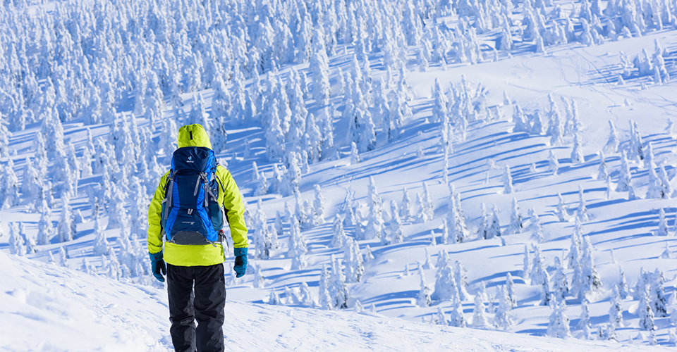 森吉山阿仁の樹氷（イメージ）