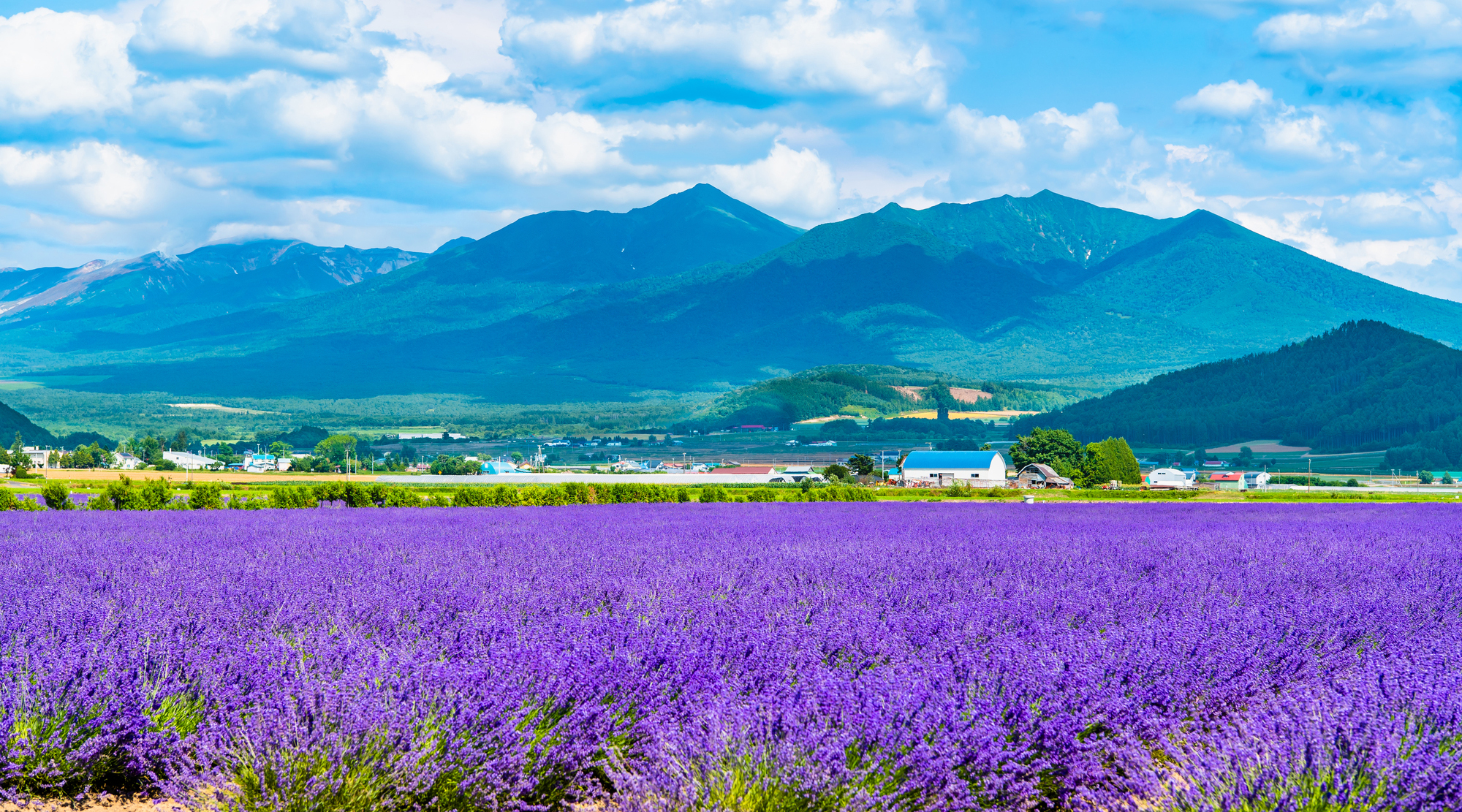 富良野（イメージ）