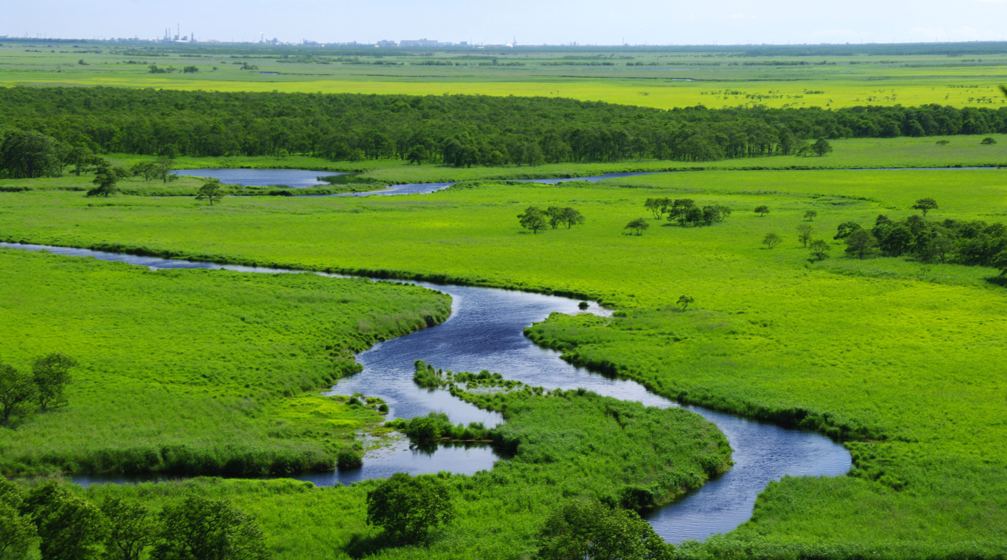 釧路湿原（イメージ）