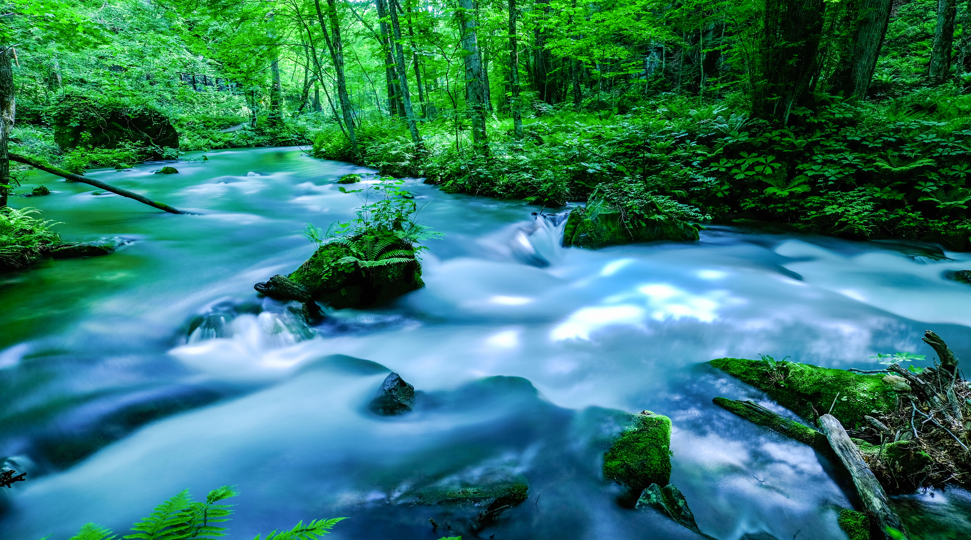 奥入瀬渓流（イメージ）